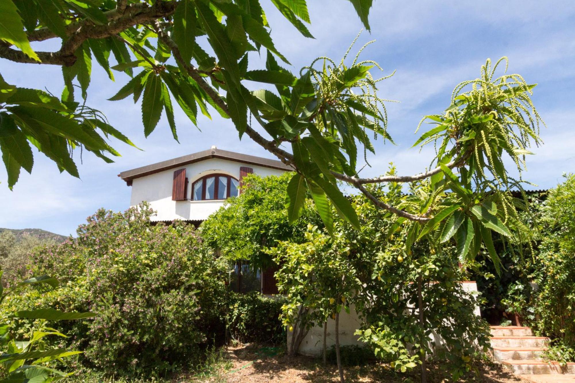Abba Arrubia Apartment Camisa Exterior foto